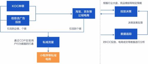 從KOC種草到私域構(gòu)建 挖數(shù)科技如何以數(shù)字技術(shù)賦能品牌，孵化下一個完美日記