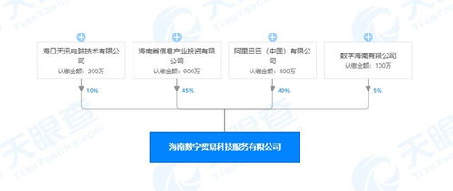 海南數(shù)字貿(mào)易科技服務(wù)公司成立，阿里巴巴持股40%引領(lǐng)數(shù)字技術(shù)服務(wù)新浪潮
